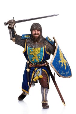 Medieval knight clipart