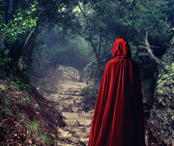 Osoba na sobě červený plášť v lese — Stock fotografie