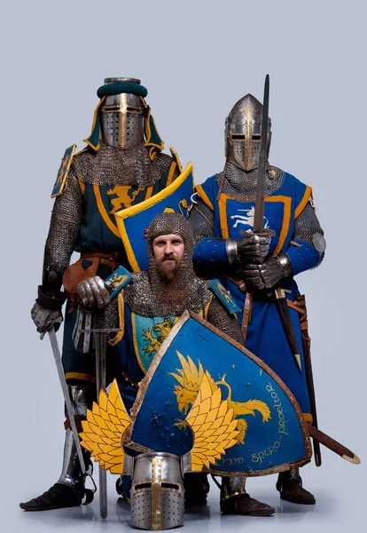 Cavalieri medievali — Foto Stock