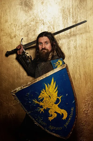 Ortaçağ Şövalyesi — Stok fotoğraf