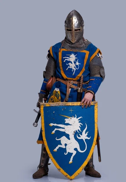 Caballero medieval —  Fotos de Stock