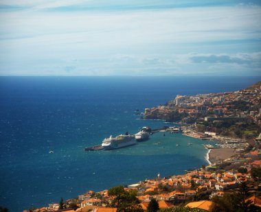 Funchal city view, Madeira clipart