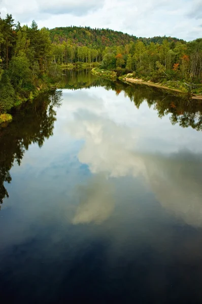 Floden rinner genom skogen — Stockfoto