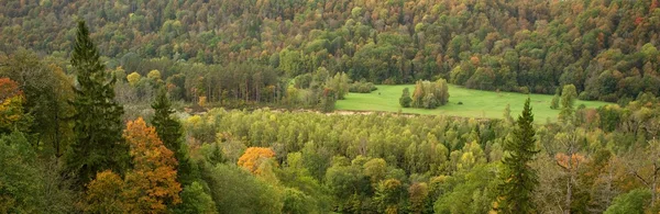 Bella foresta autunnale. — Foto Stock