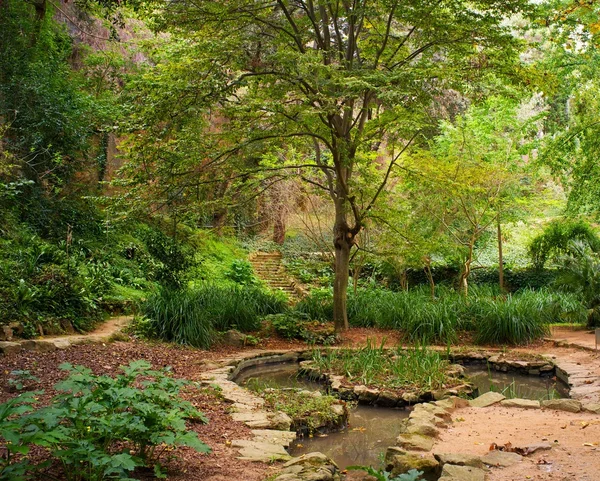 Rybník v krásném parku — Stock fotografie