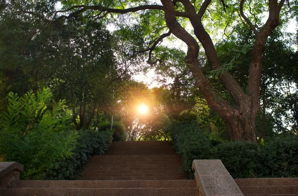 Escada em um belo parque . — Fotografia de Stock