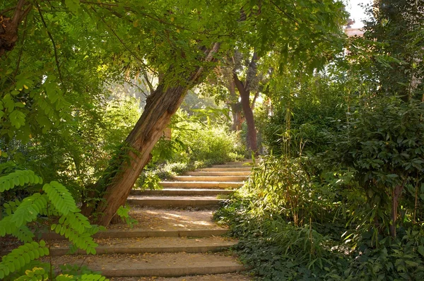 Egy gyönyörű parkban lépcső. — Stock Fotó