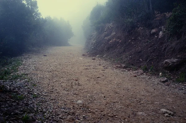 Camino en las montañas. — Foto de Stock