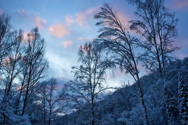 아름다운 겨울 풍경. — 스톡 사진