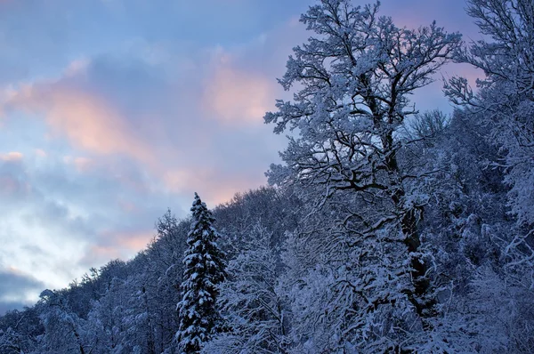 Piękny zimowy krajobraz. — Zdjęcie stockowe