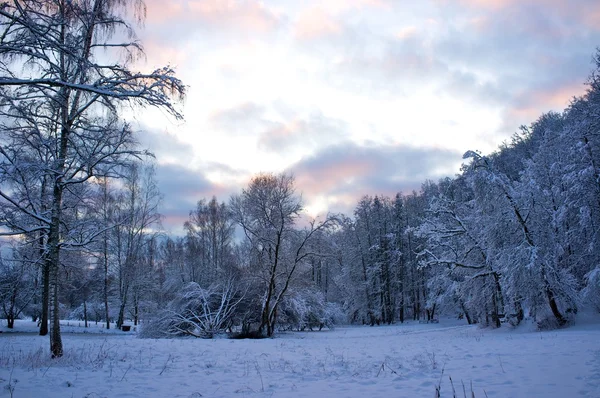美丽的冬季风景. — 图库照片