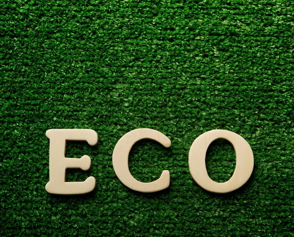 La palabra eco escrita sobre fondo verde — Foto de Stock