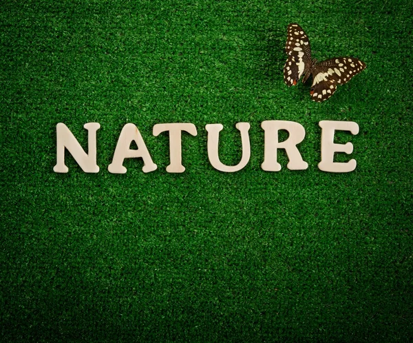 写在绿色背景上的词自然 — 图库照片