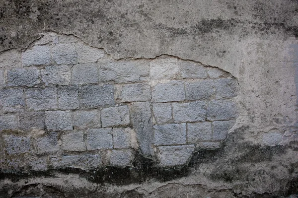 Grunge brick wall texture — Stock Photo, Image