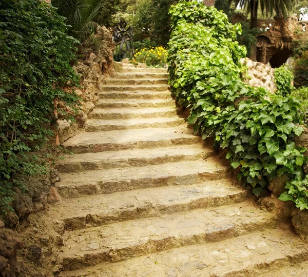 Path in a garden — Stock Photo, Image