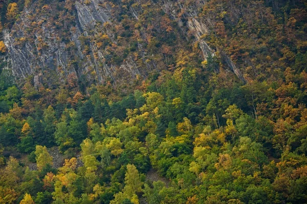 Montanha paisagem florestal — Fotografia de Stock