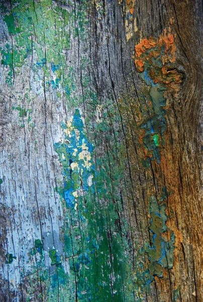 다채로운 나무 배경 — 스톡 사진