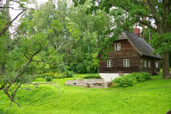 Старий дерев'яний будинок в лісі . — стокове фото