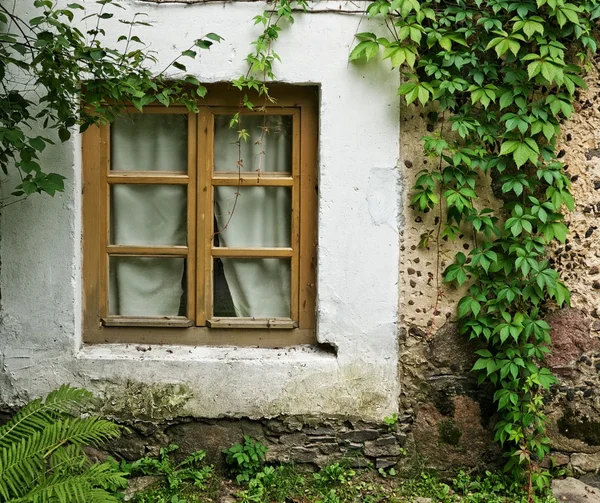 Вікно в старому будинку . — стокове фото