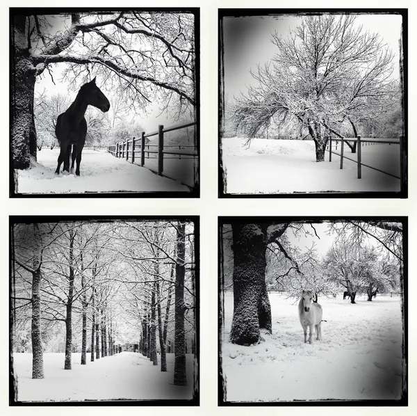 Winter collage — Stockfoto
