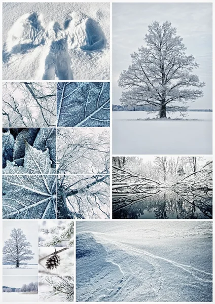 Collage de invierno —  Fotos de Stock