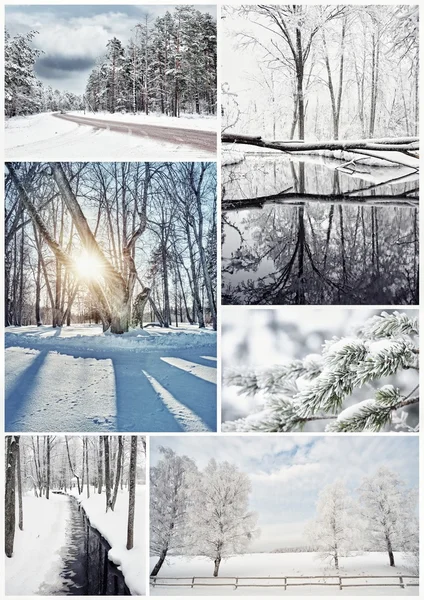 Colagem de inverno — Fotografia de Stock