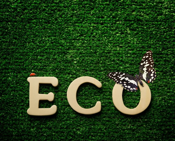 La palabra eco — Foto de Stock