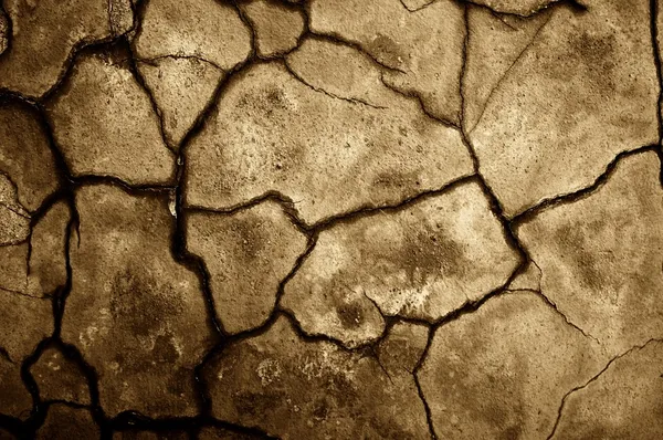 Textura seca do solo rachado. — Fotografia de Stock