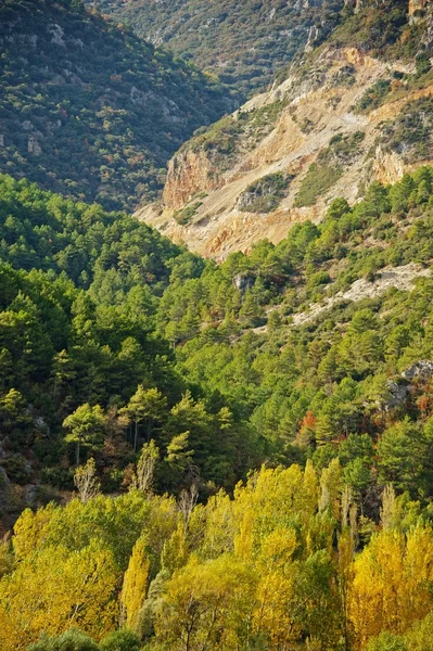 Prachtig bergbos landschap — Stockfoto