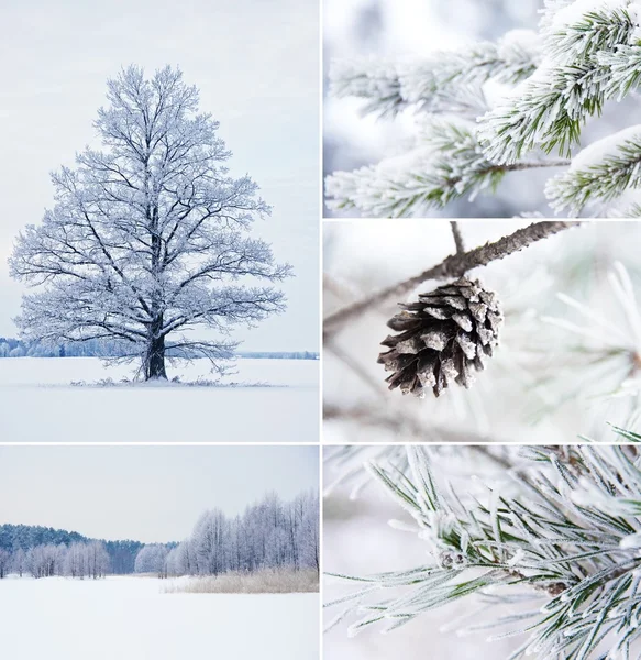 Vintercollage — Stockfoto