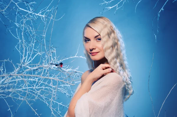 Kış ormanındaki kadın — Stok fotoğraf