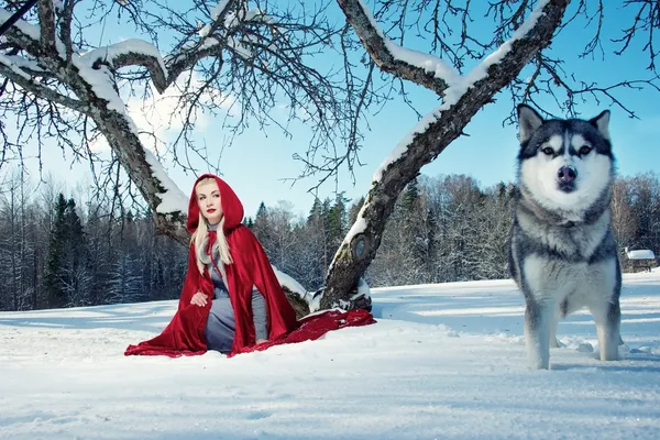 Rode kap met een wolf — Stockfoto