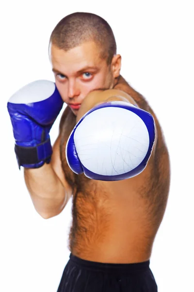 Bilden av stilig boxare poserar — Stockfoto