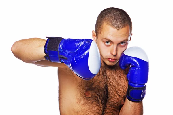Yakışıklı boksör poz resim — Stok fotoğraf