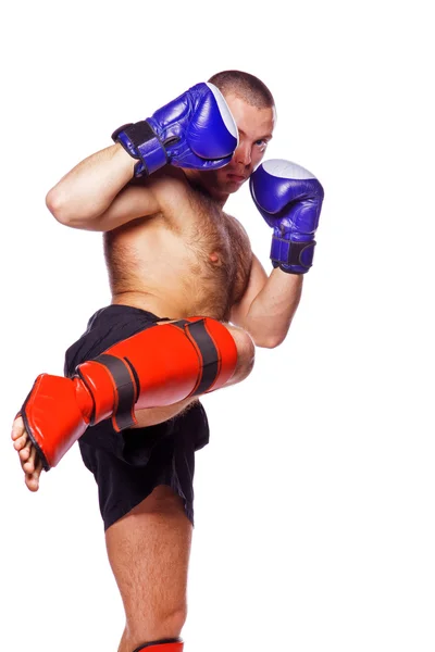 Image of young fighter Stock Image