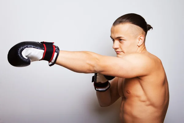 Görüntü boksör — Stok fotoğraf
