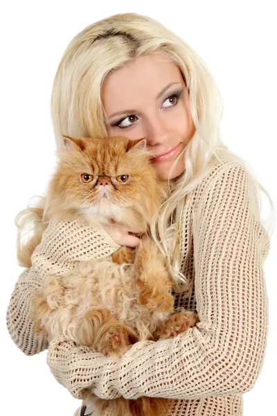 Красивая молодая женщина с персидским котом — стоковое фото