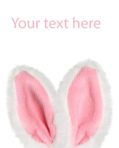 stock image Bunny ears on a white background