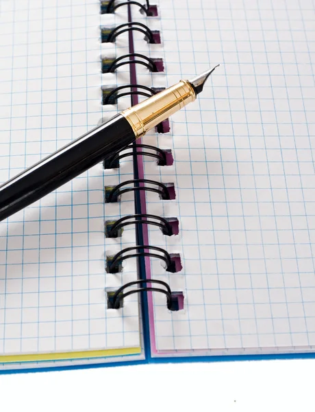 Caderno aberto com encadernação de cobre e caneta elegante . — Fotografia de Stock