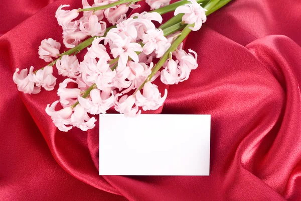 ピンクの花の花束 — ストック写真