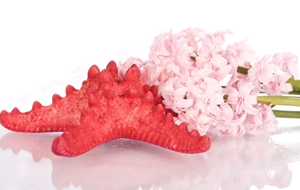 ピンクの花とヒトデ — ストック写真