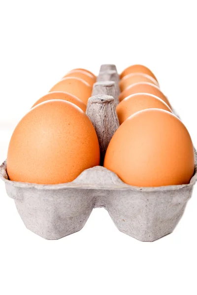 Hnědá vejce v krabici — Stock fotografie