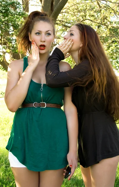 Two girls who fissile secrets with each other — Stock Photo, Image