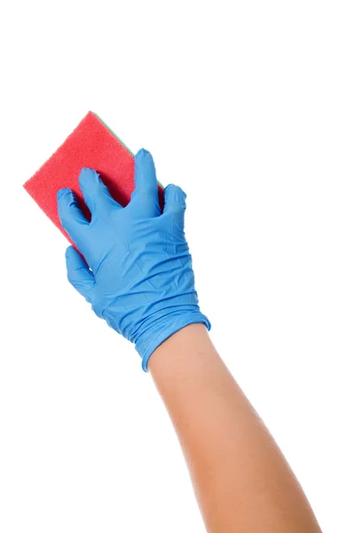 Hand in blauwe handschoen met spons — Stockfoto