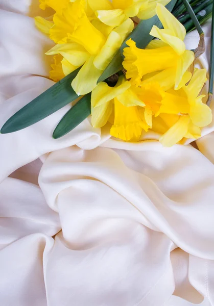 在丝绸中的黄色水仙 — 图库照片