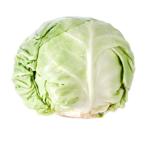 Πράσινο λάχανο — Φωτογραφία Αρχείου