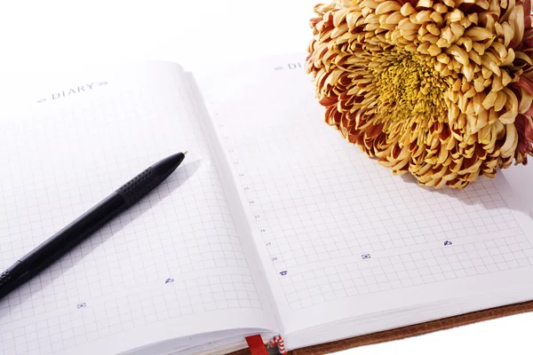 Personlig dagbok och blomma — Stockfoto