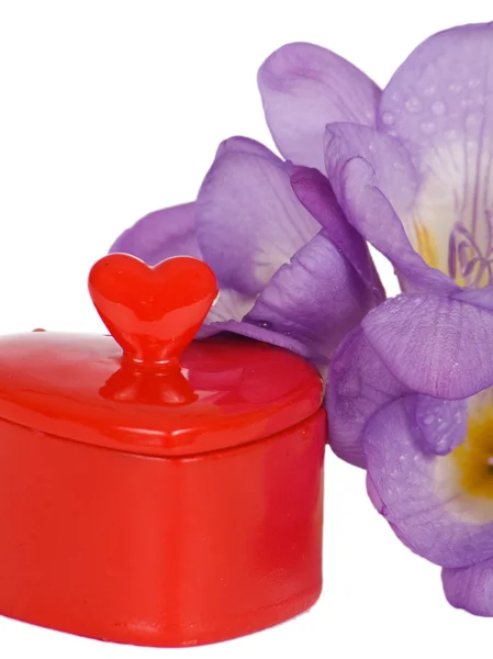 Chest heart and purple freesia — Stock Photo, Image