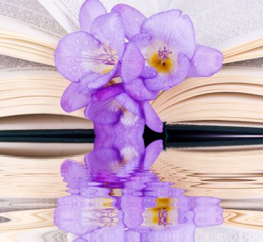 Open the book and freesia clipart