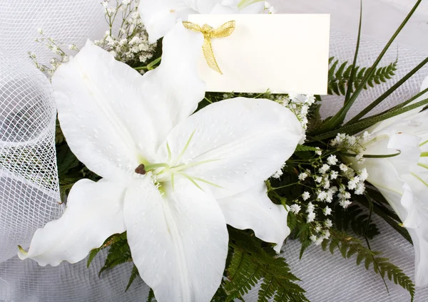 Beautiful Lily and the greeting card — Stock Photo, Image